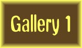 Enter Gallery 1
