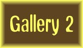 Enter Gallery 2