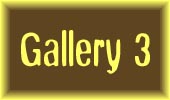 Enter Gallery 3