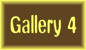 Enter Gallery 3